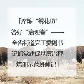 淬炼“绣花功” 答好“治理卷”——全省街道党工委副书记抓党建促基层治理培训示范班侧记