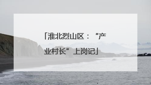 淮北烈山区：“产业村长”上岗记