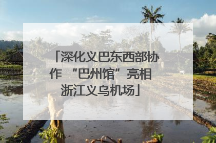 深化义巴东西部协作 “巴州馆”亮相浙江义乌机场