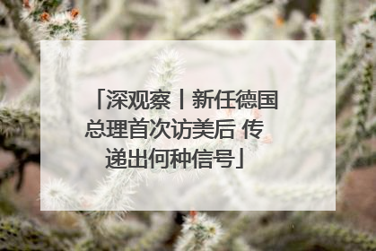 深观察丨新任德国总理首次访美后 传递出何种信号