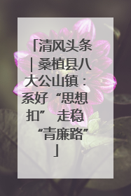 清风头条｜桑植县八大公山镇：系好“思想扣” 走稳“青廉路”