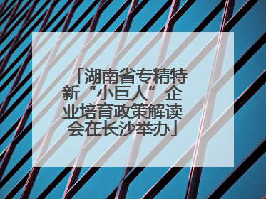 湖南省专精特新“小巨人”企业培育政策解读会在长沙举办
