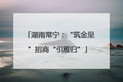 湖南常宁：“筑金巢”招商“引雁归”