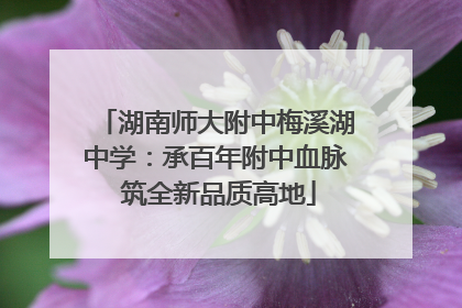 湖南师大附中梅溪湖中学：承百年附中血脉 筑全新品质高地