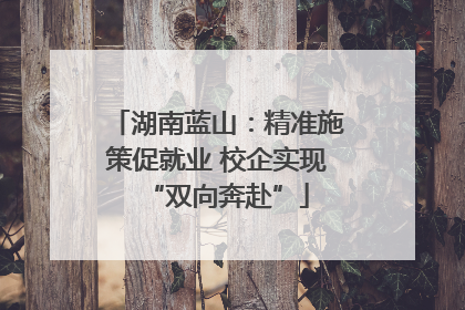 湖南蓝山：精准施策促就业 校企实现“双向奔赴”