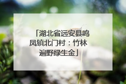 湖北省远安县鸣凤镇北门村：竹林遍野绿生金