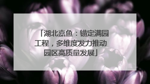 湖北嘉鱼：锚定满园工程，多维度发力推动园区高质量发展