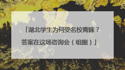 湖北学生为何受名校青睐？答案在这场咨询会（组图）