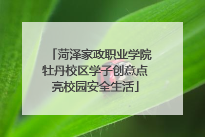 菏泽家政职业学院牡丹校区学子创意点亮校园安全生活