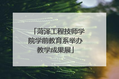 菏泽工程技师学院学前教育系举办教学成果展
