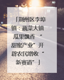 荆州区李埠镇：蔬菜大镇瓜果飘香 “甜蜜产业”开辟农民增收“新赛道”