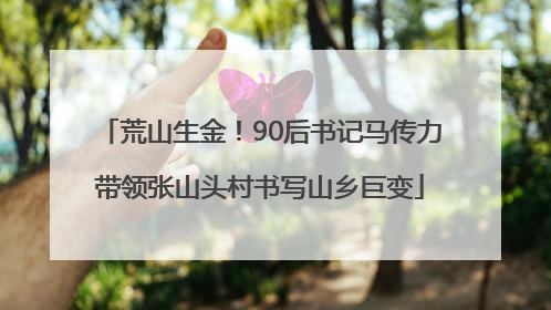 荒山生金！90后书记马传力带领张山头村书写山乡巨变
