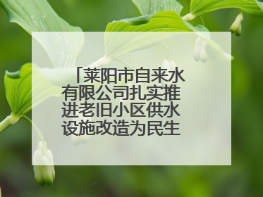 莱阳市自来水有限公司扎实推进老旧小区供水设施改造为民生幸福“加码”