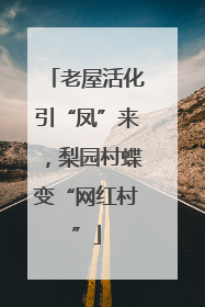 老屋活化引“凤”来，梨园村蝶变“网红村”