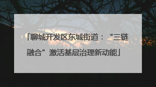 聊城开发区东城街道：“三链融合”激活基层治理新动能