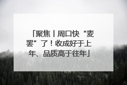 聚焦丨周口快“麦罢”了！收成好于上年、品质高于往年