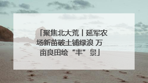 聚焦北大荒丨延军农场新苗破土铺绿浪 万亩良田绘“丰”景