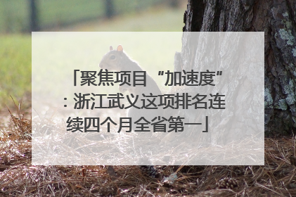 聚焦项目“加速度”：浙江武义这项排名连续四个月全省第一