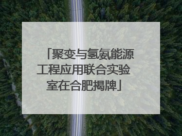 聚变与氢氨能源工程应用联合实验室在合肥揭牌