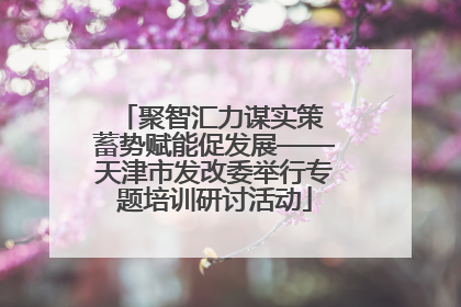 聚智汇力谋实策 蓄势赋能促发展——天津市发改委举行专题培训研讨活动