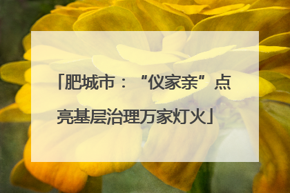 肥城市：“仪家亲”点亮基层治理万家灯火