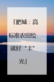 肥城：高标准农田绘就好“丰”光