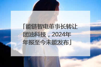 能链智电董事长转让团油科技，2024年年报至今未能发布