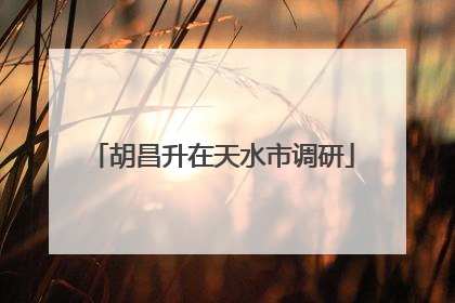 胡昌升在天水市调研