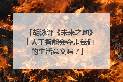 胡泳评《未来之地》︱人工智能会夺走我们的生活意义吗？