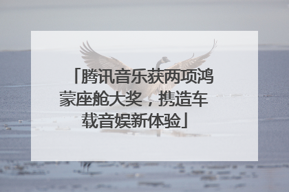 腾讯音乐获两项鸿蒙座舱大奖，携造车载音娱新体验