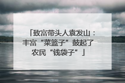 致富带头人袁发山：丰富“菜篮子”鼓起了农民“钱袋子”