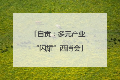 自贡：多元产业“闪耀”西博会