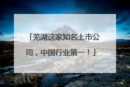 芜湖这家知名上市公司，中国行业第一！