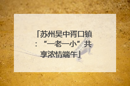 苏州吴中胥口镇：“一老一小”共享浓情端午