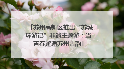 苏州高新区推出“苏城环游记”非遗主题游：当青春邂逅苏州古韵
