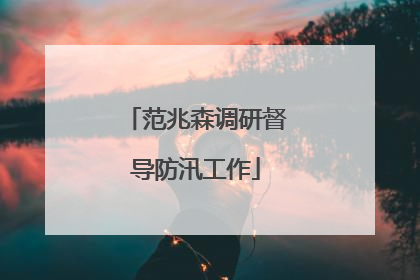 范兆森调研督导防汛工作