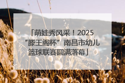 萌娃秀风采！2025“滕王阁杯”南昌市幼儿篮球联赛圆满落幕