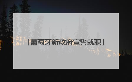葡萄牙新政府宣誓就职