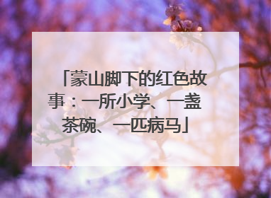 蒙山脚下的红色故事：一所小学、一盏茶碗、一匹病马