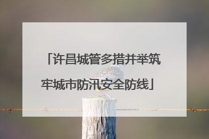 许昌城管多措并举筑牢城市防汛安全防线