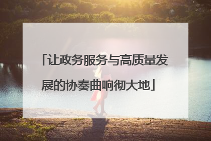让政务服务与高质量发展的协奏曲响彻大地