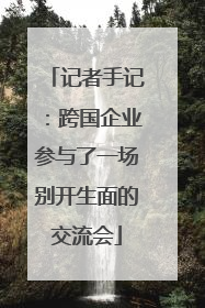 记者手记：跨国企业参与了一场别开生面的交流会