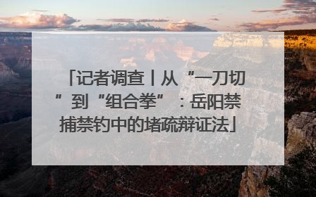 记者调查丨从“一刀切”到“组合拳”：岳阳禁捕禁钓中的堵疏辩证法