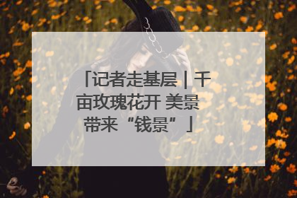记者走基层｜千亩玫瑰花开 美景带来“钱景”
