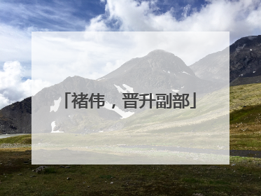 褚伟，晋升副部