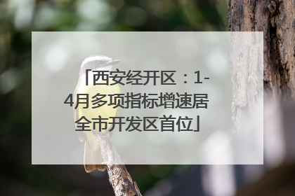 西安经开区：1-4月多项指标增速居全市开发区首位