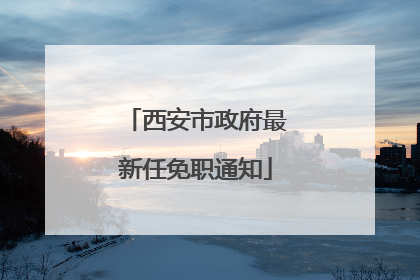西安市政府最新任免职通知