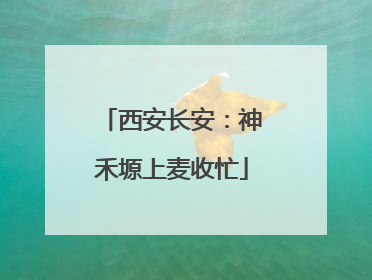 西安长安：神禾塬上麦收忙