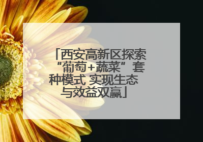 西安高新区探索“葡萄+蔬菜”套种模式 实现生态与效益双赢