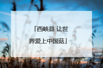 西峡县 让世界爱上中国菇